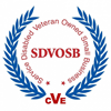 SDVOSB1